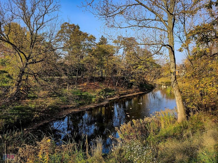 Fosa Fortu Czerniaków