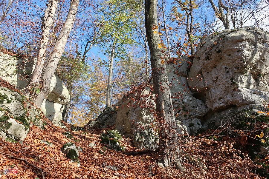 Na Sokolej Górze