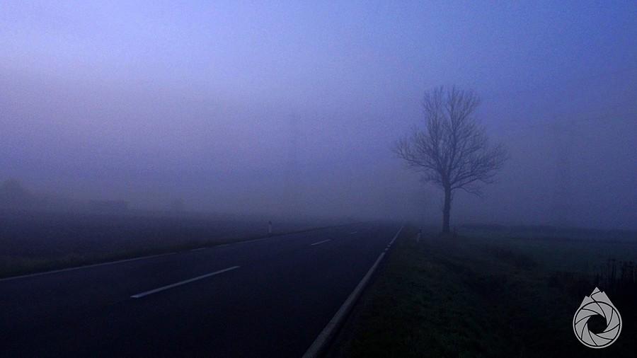 troszkę mgliście w dolinie Sanu