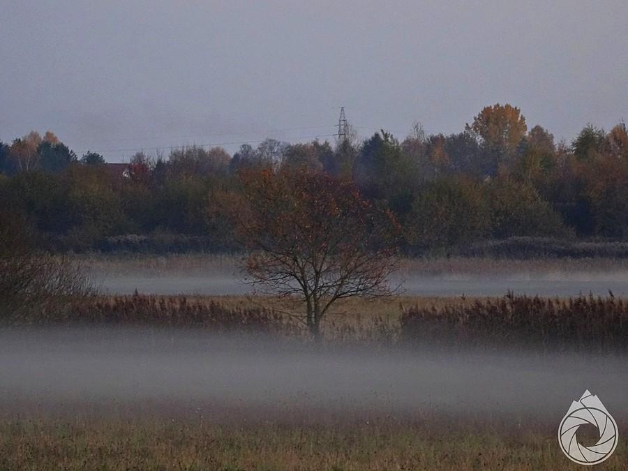 wieczorne, zamojskie mgły