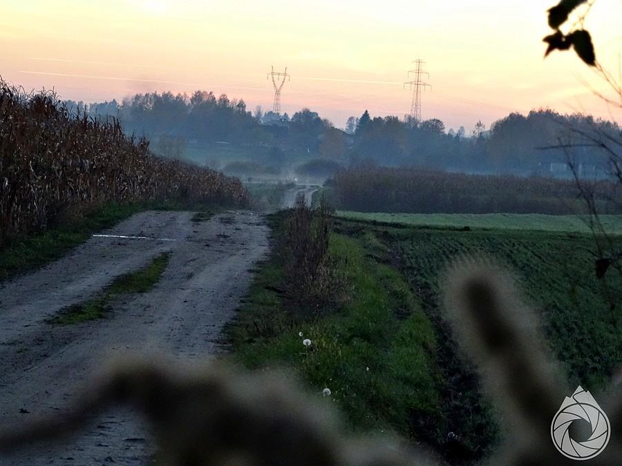 dróżka w świat roztoczański