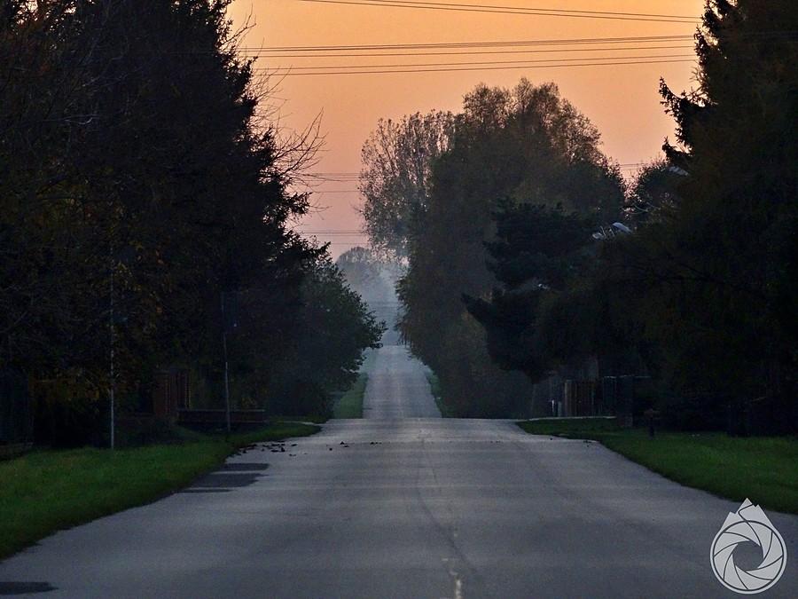 dróżka w pola w Bortraczyc