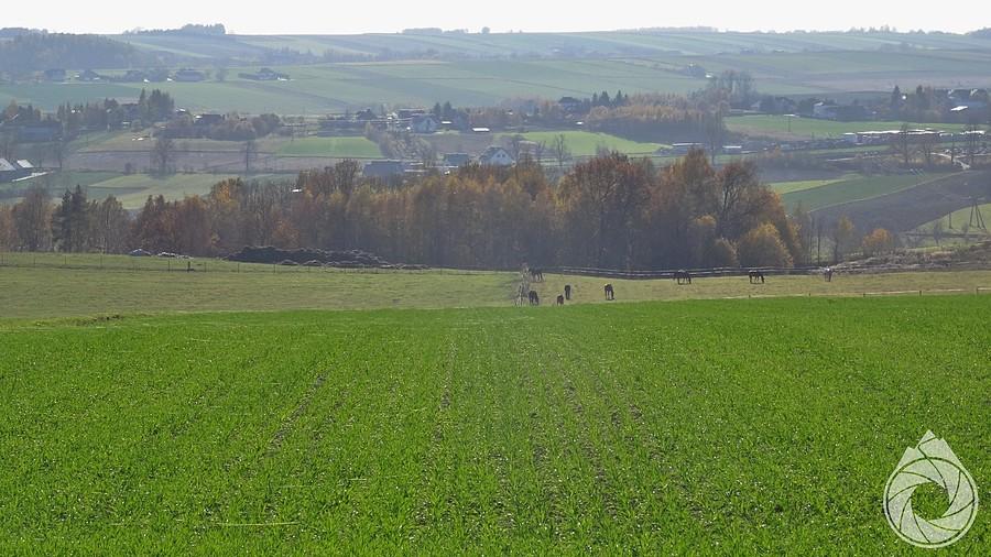 widoczki znad Barbarki na Dolinę Dłubni