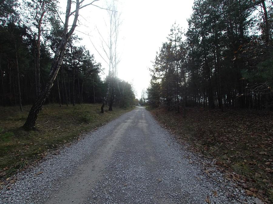 Droga Mały Truskaw - Mariew