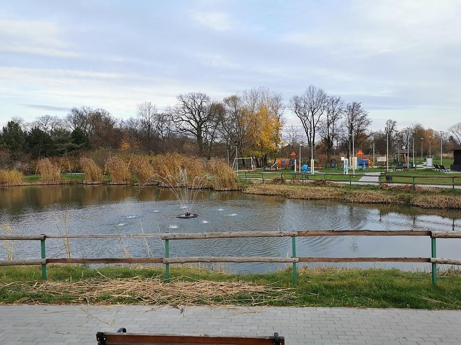Staw z fontanną w Borzęcinie