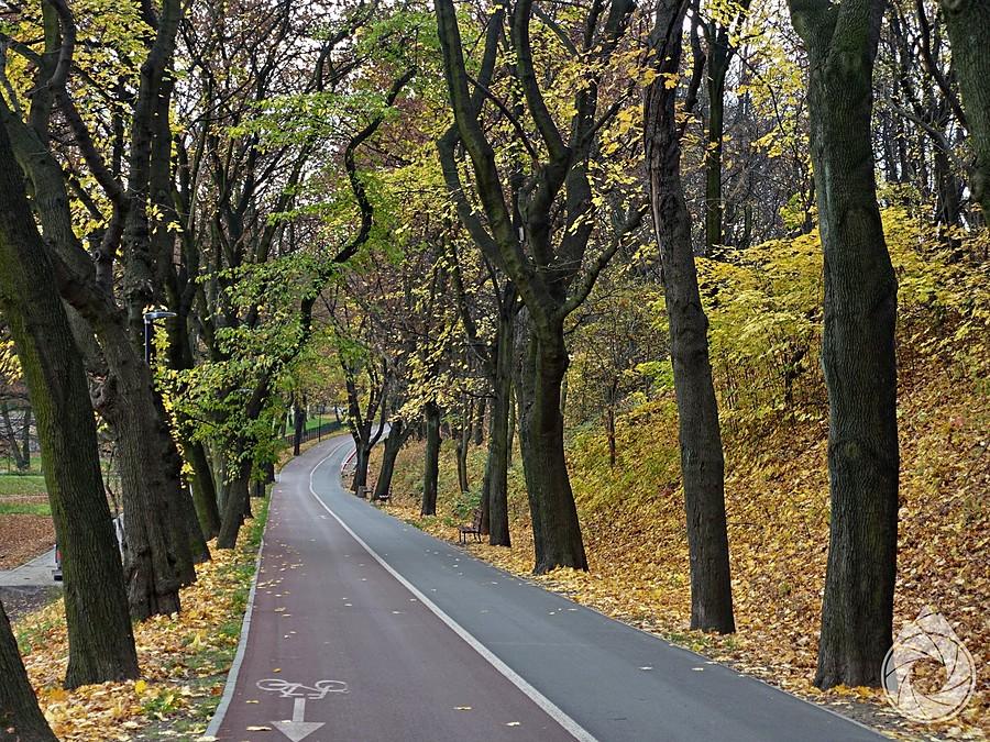 ładne ścieżki przez Park Promenadę w Mysłowicach