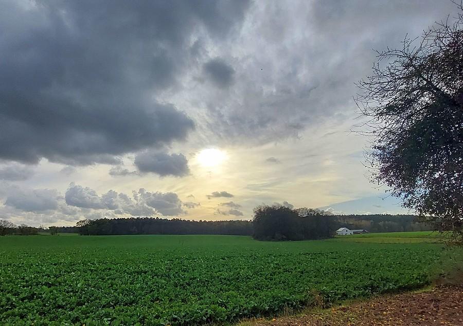 Walka na niebie nad Lisówkami