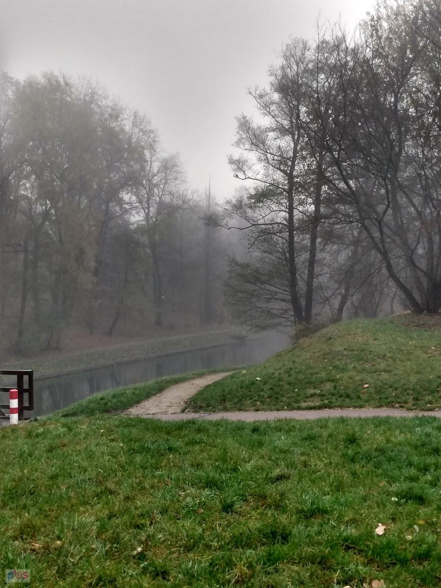 Mgła w parku nie była bardzo gęsta
