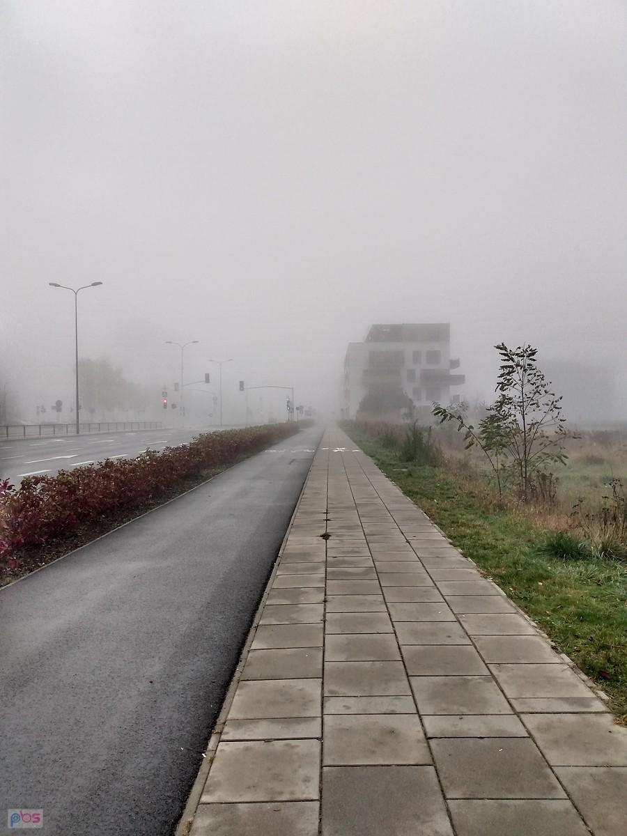 Ddr we mgle. Chyba to Lazurowa