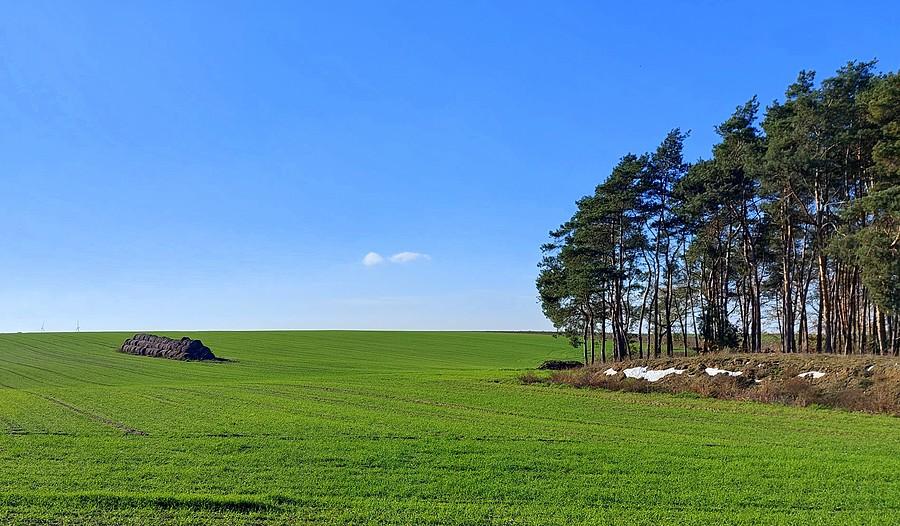 Niemal wiosennie na trasie