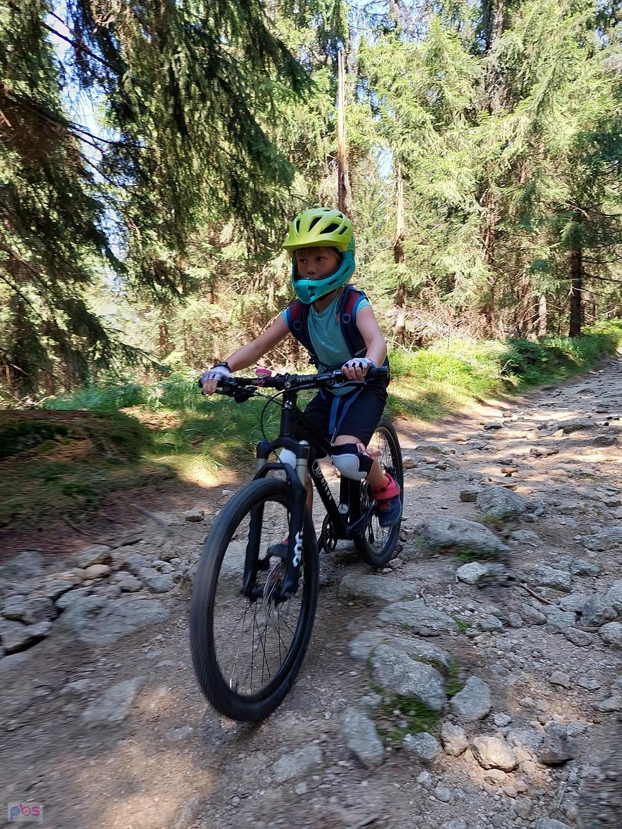 DH-Bejbor
