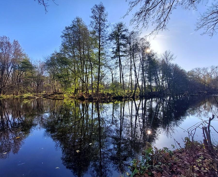 Łysy Staw Słoneczny, poznańska Dębina