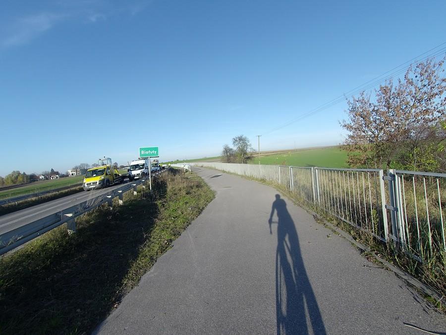 Droga rowerowa od strony Błonia