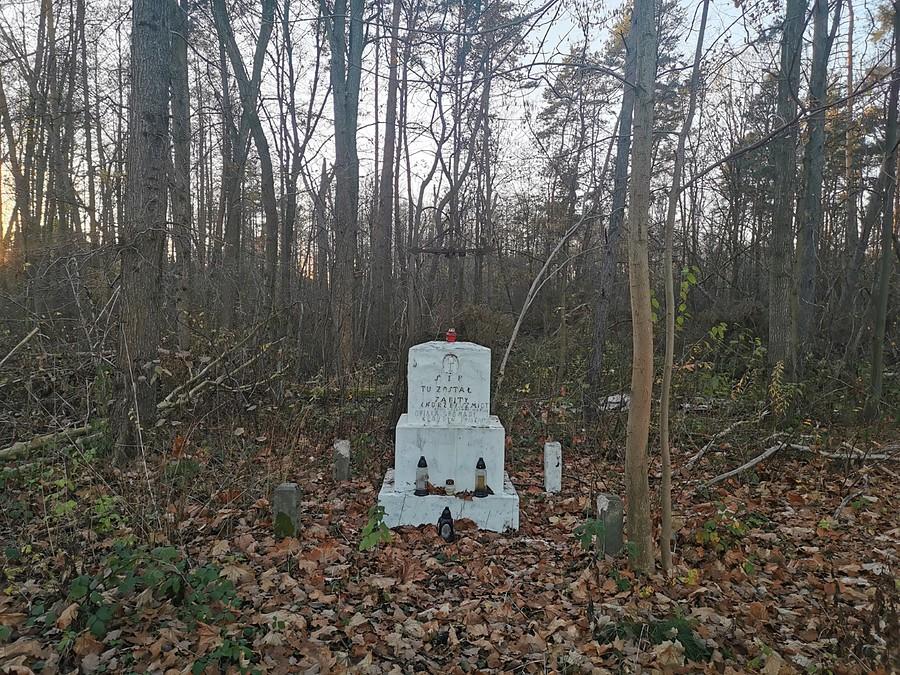 Pomnik w lesie