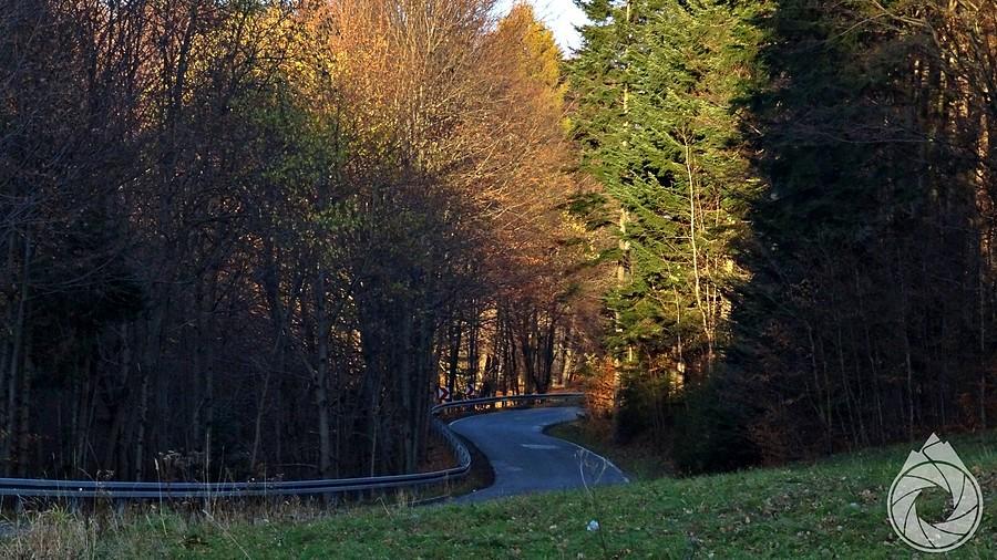 końcówka podjazdu na Kocierz