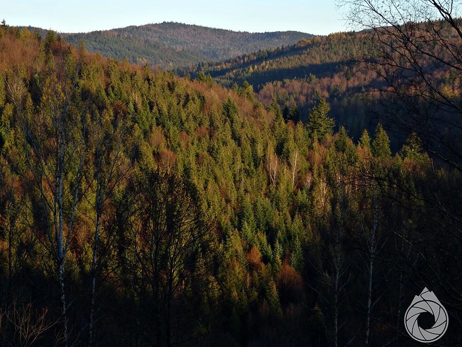 spojrzenie na Potrójną