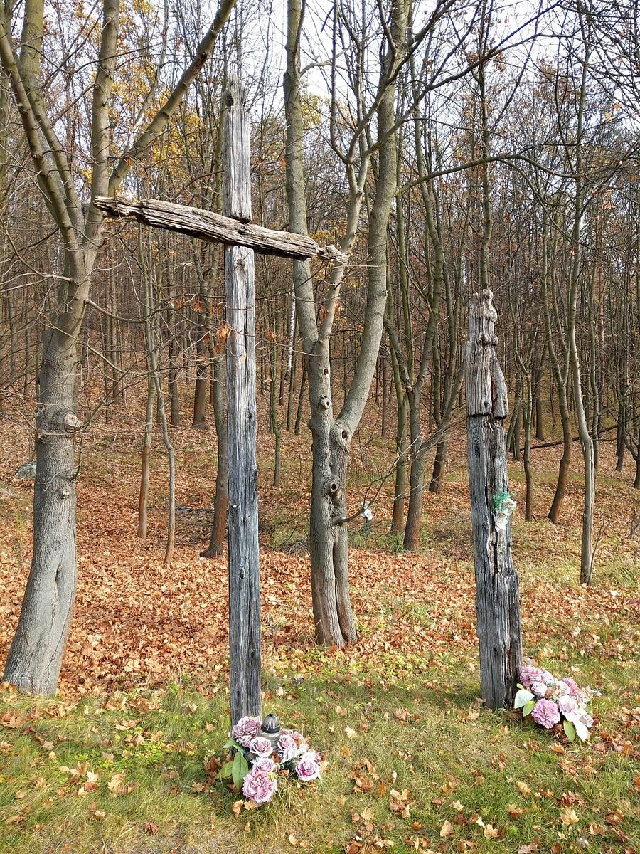 Cmentarz choleryczny