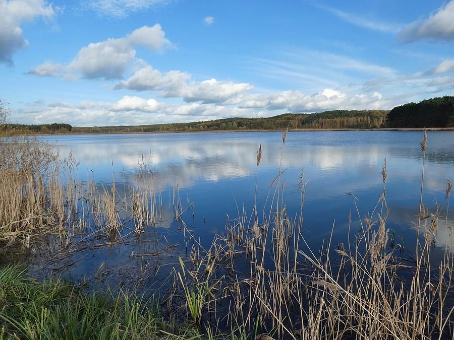 Staw Ośniański