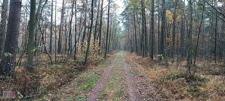 Na zielonym Szlaku z Granicy do Roztoki
