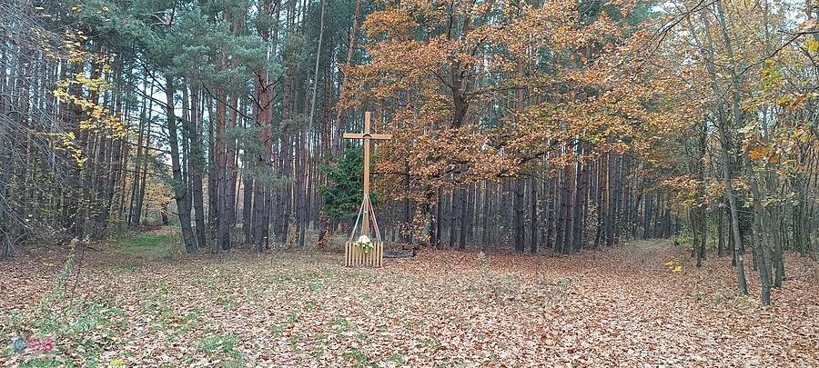 "Na rozstaju dróg gdzie przydrożny ........."