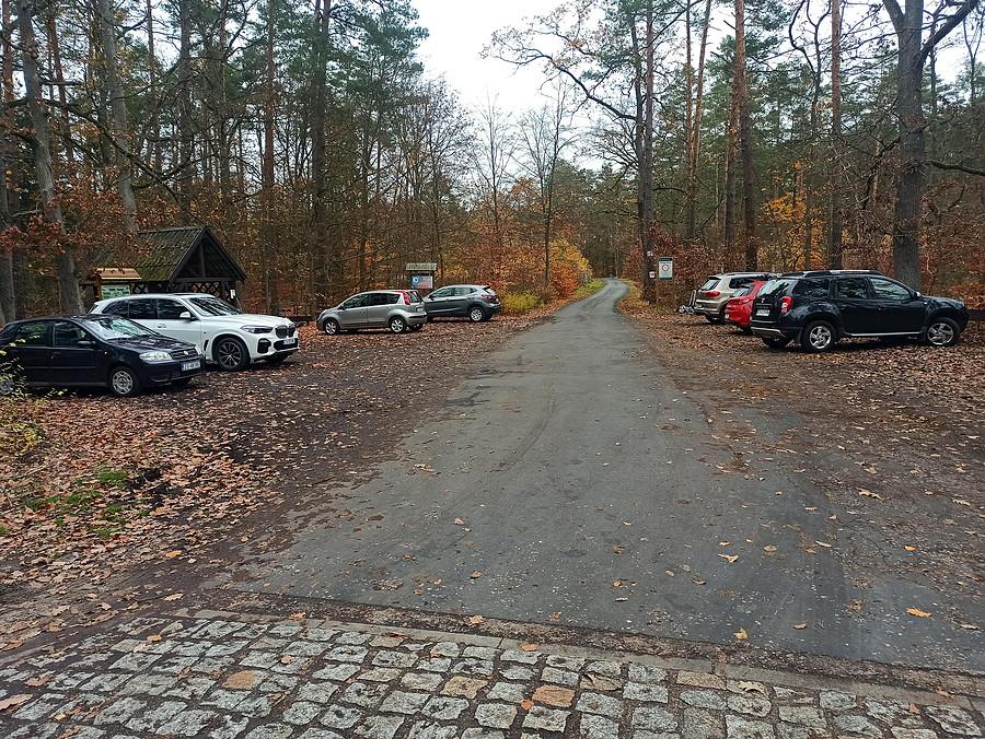 Puszcza Wkrzańska - leśna droga nr 14.