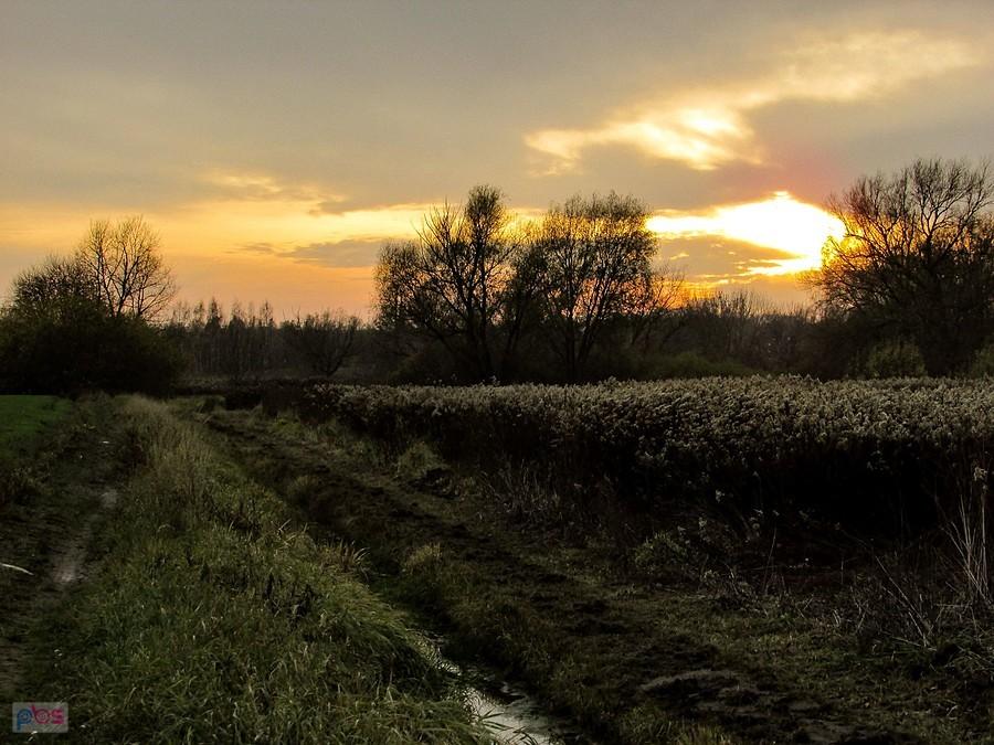 Łąki wilanowskie
