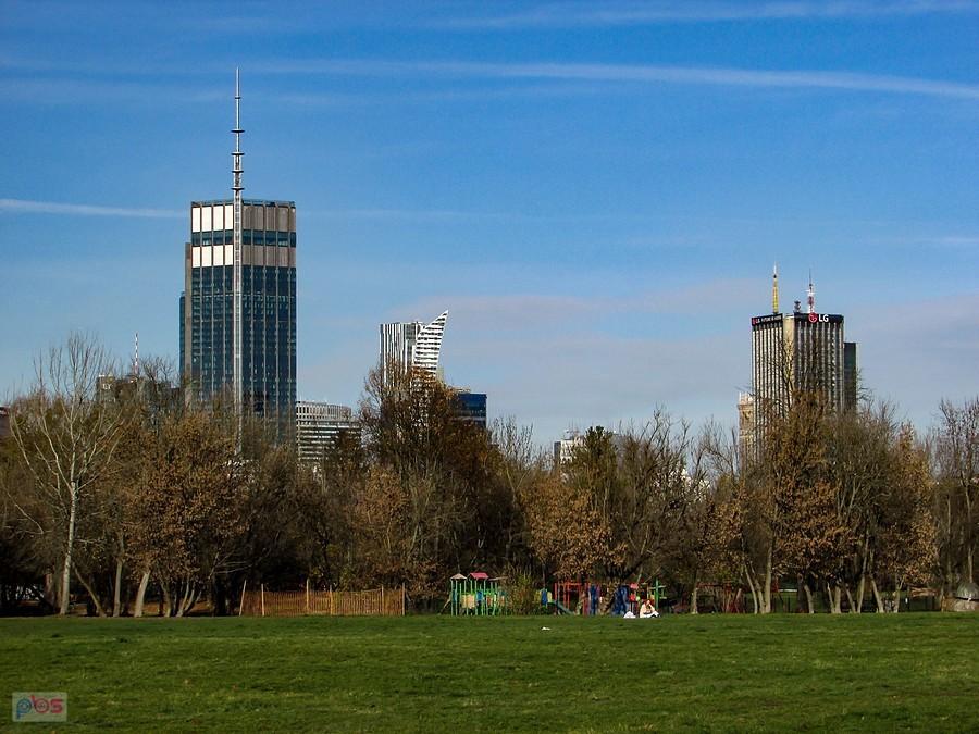Psia polana i Varso Tower