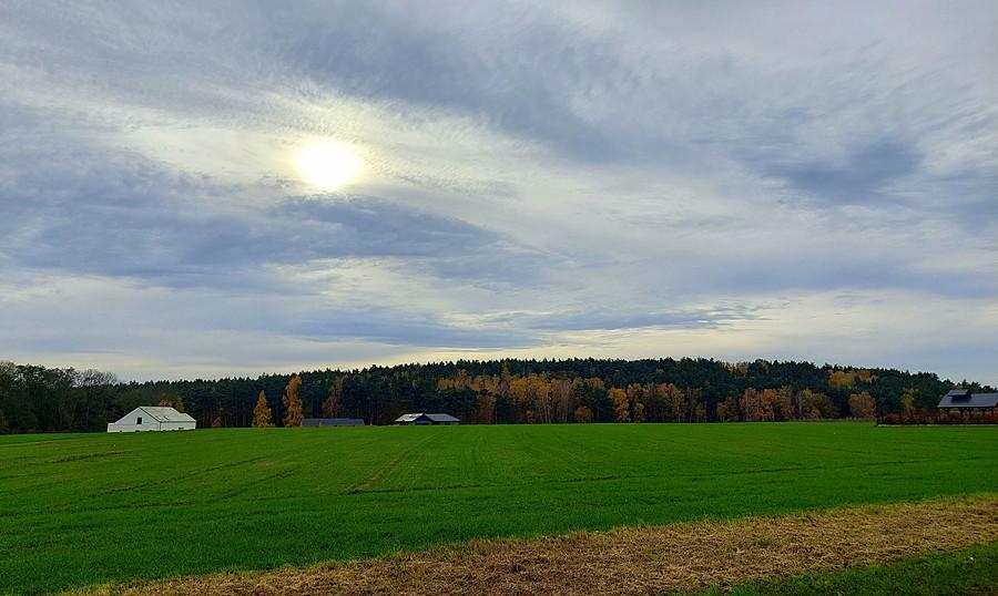 Niebo nad Lisówkami