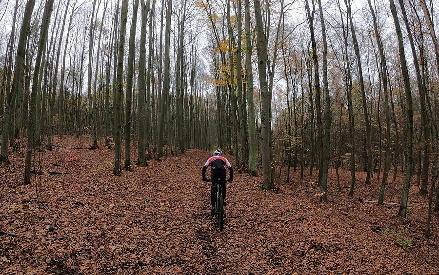 W 100% listopadowe MTB-owanie