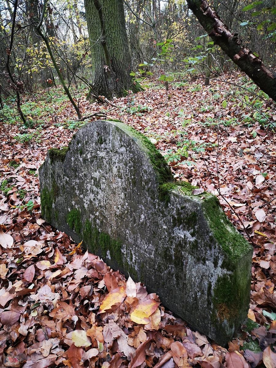 Ewangelicki cmentarz w Mariampolu.