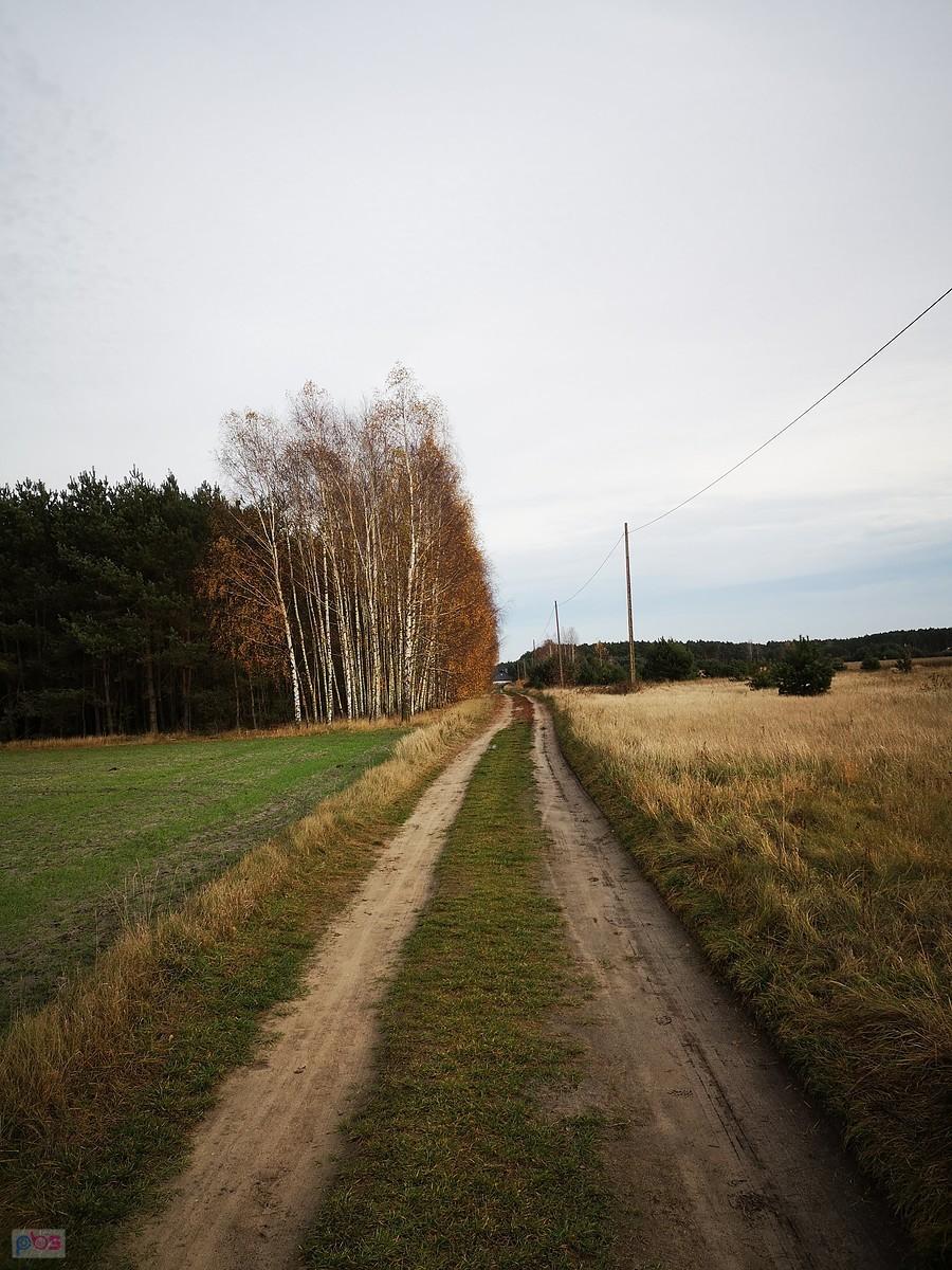 Gdzieś koło Starego Adamowa