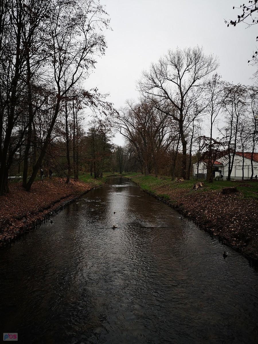 Bzura w Ozorkowie