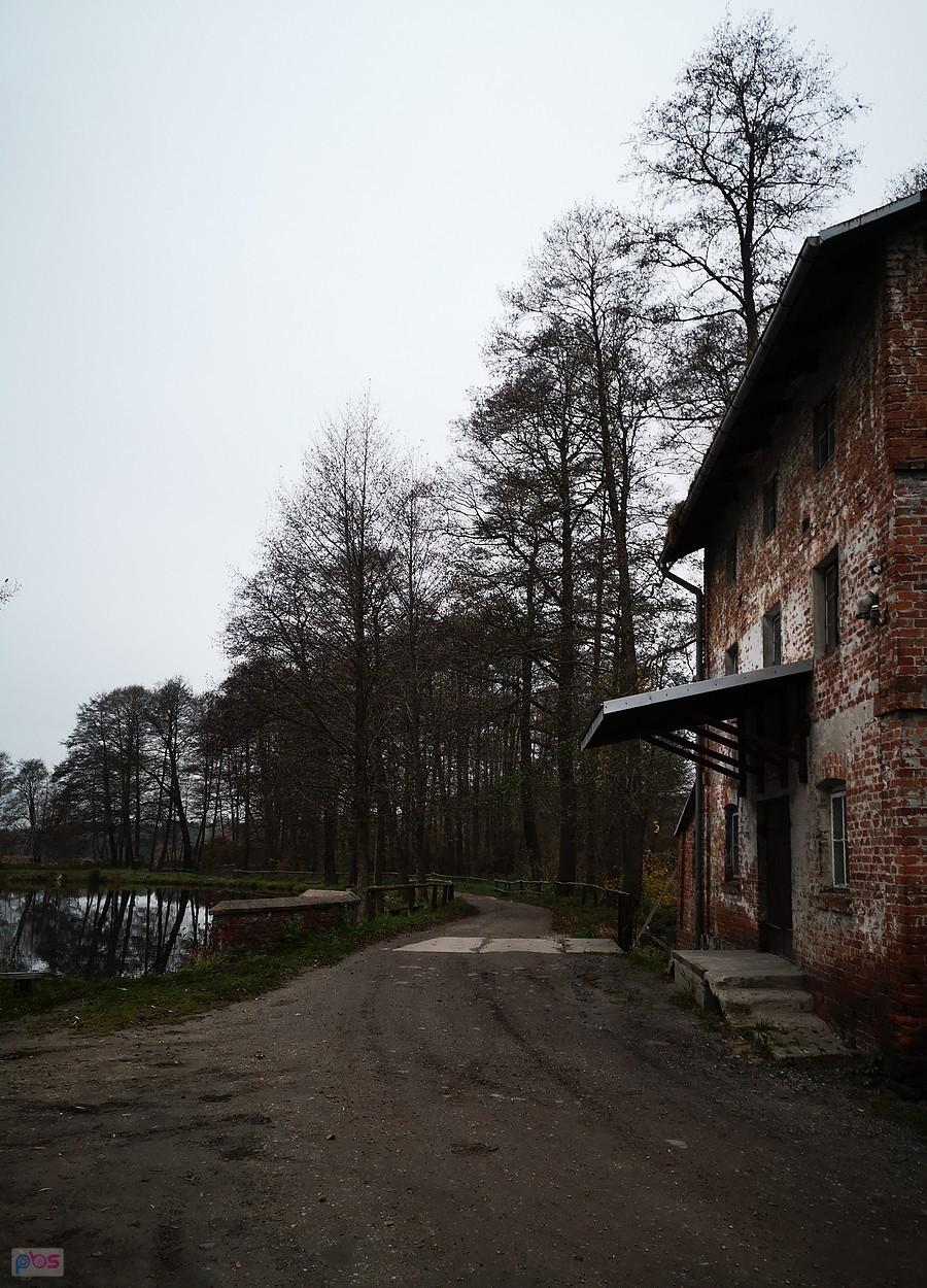 Stary Młyn w Ciosnach