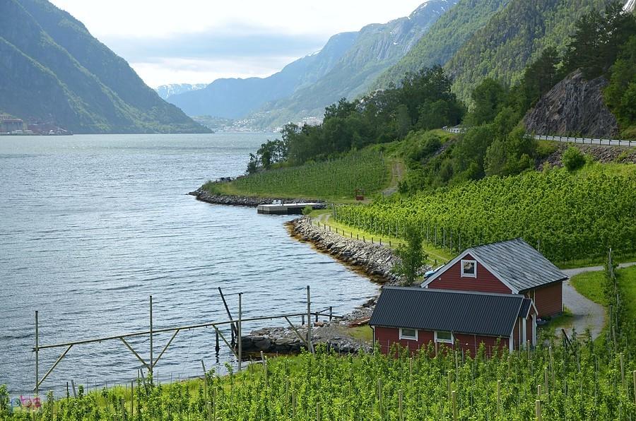 Sorfjorden