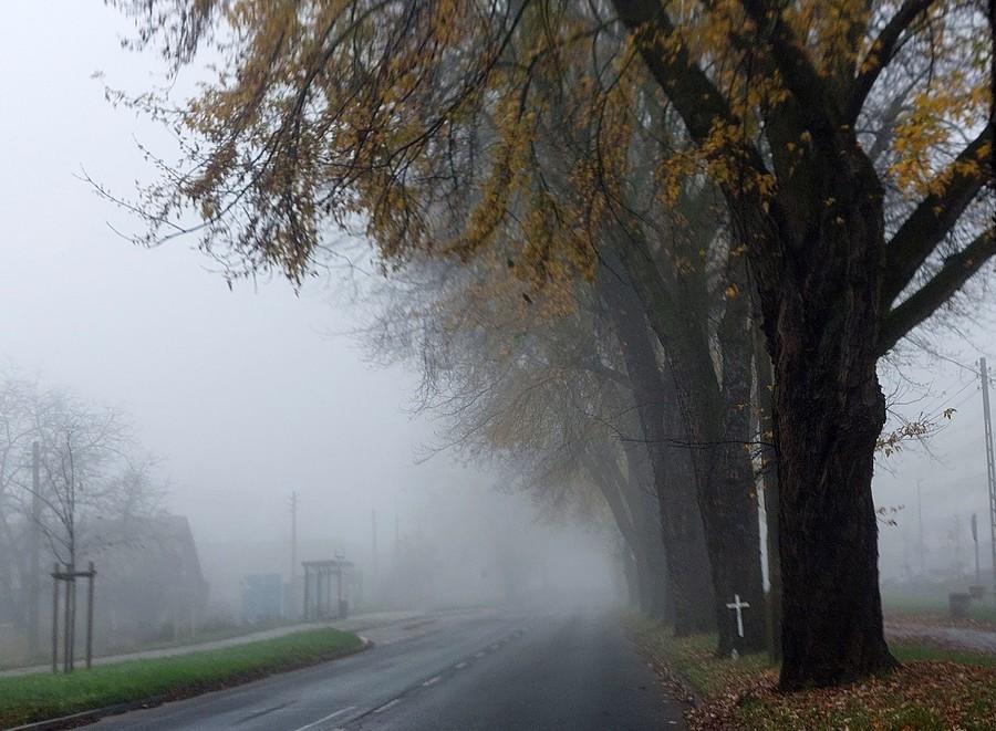 "Lekko" mgliście