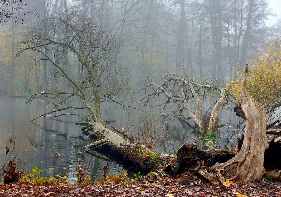 Wisielczy klimat na Dębinie
