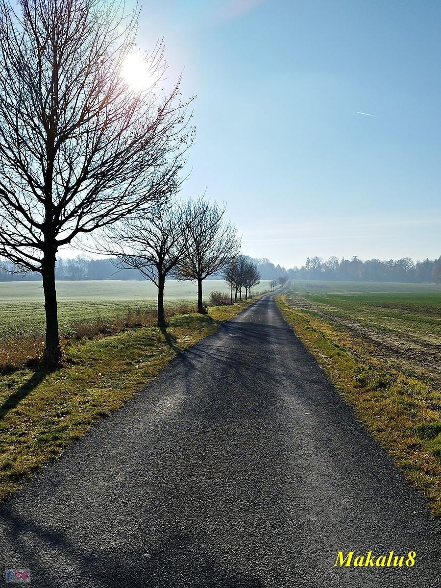 Przez pole na południe