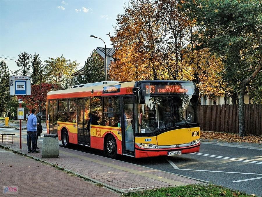 Autobus 213 na Mozaikowej