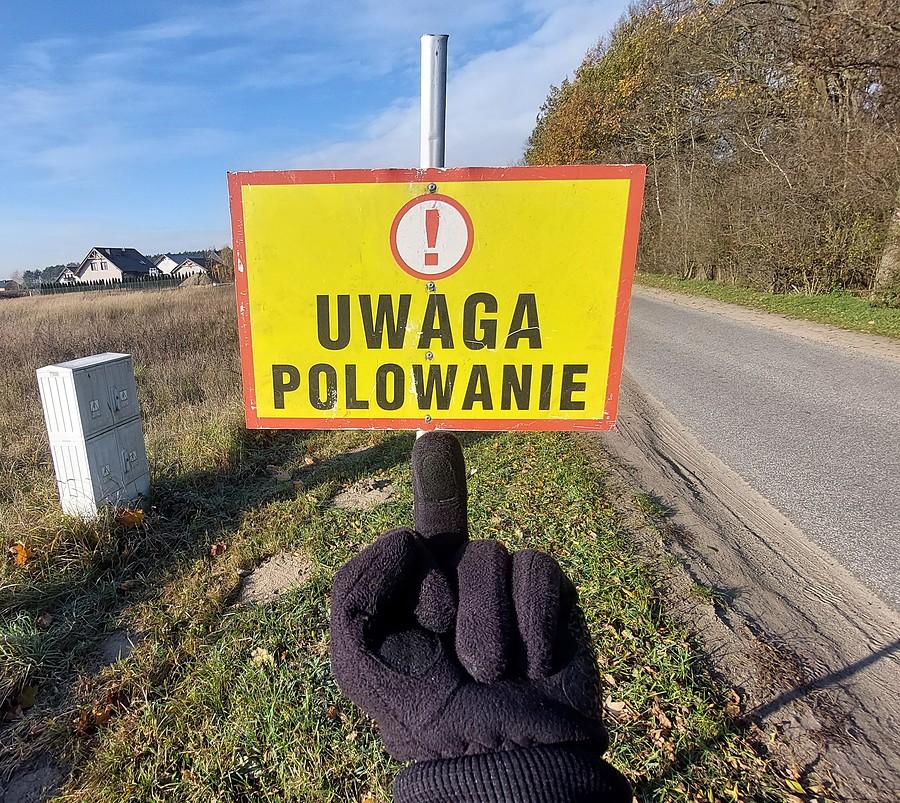 Uwaga, zwyrole!