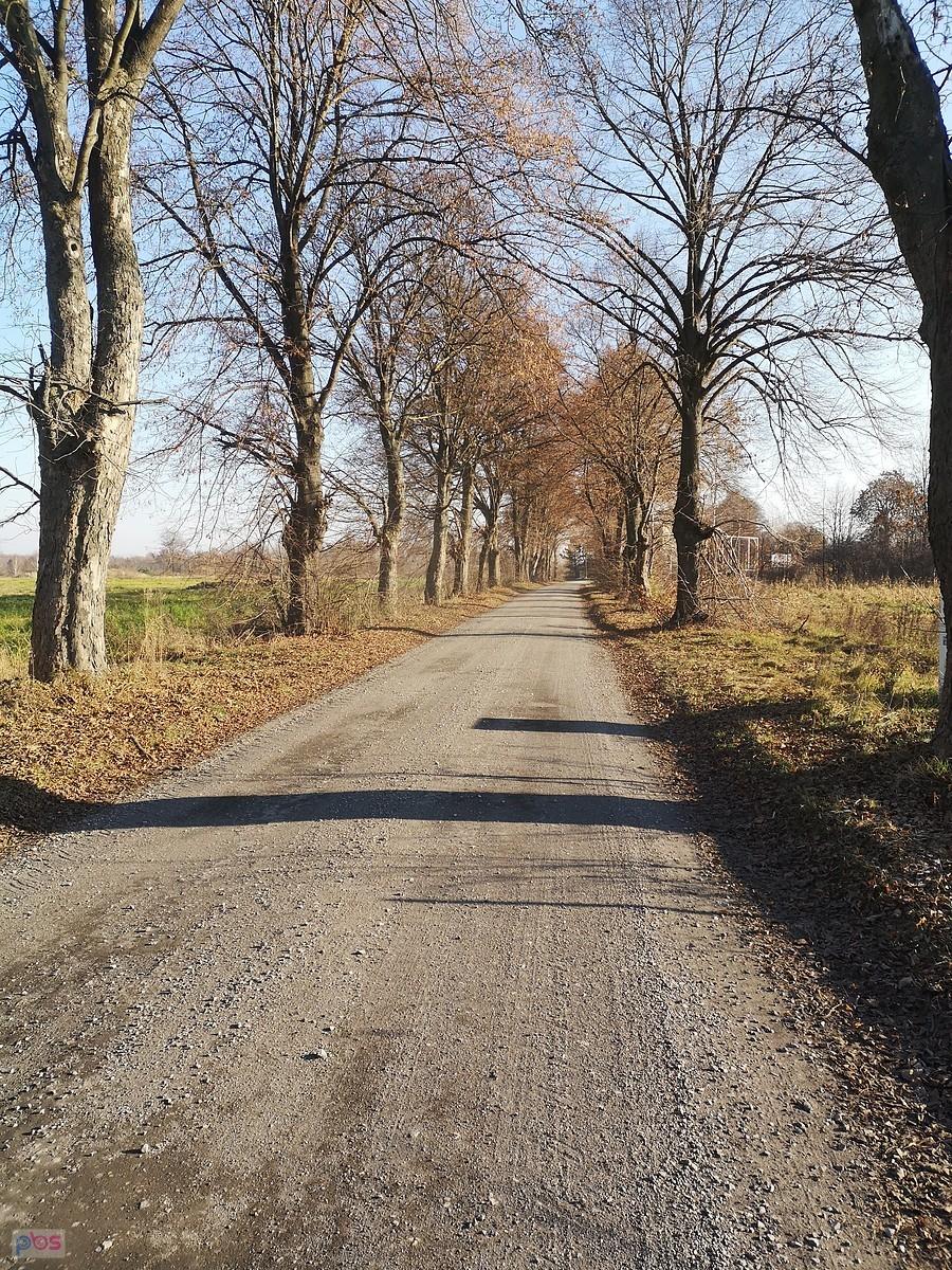 Brużyca
