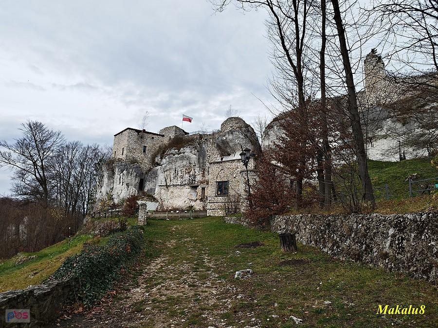 Zamek Bąkowiec