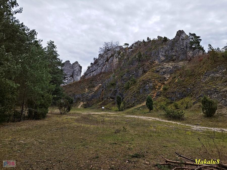 Góra Zborów