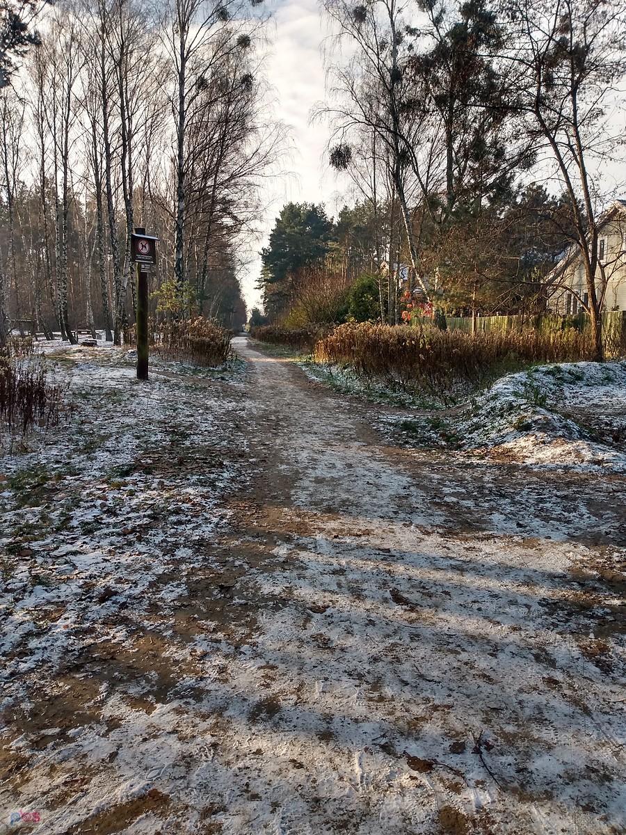 Lekki mróz, nieco śniegu i słoneczko