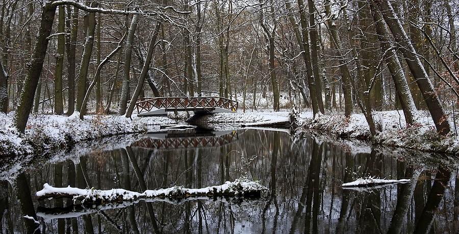 Nowy-starek na poznańskiej Dębinie zimą