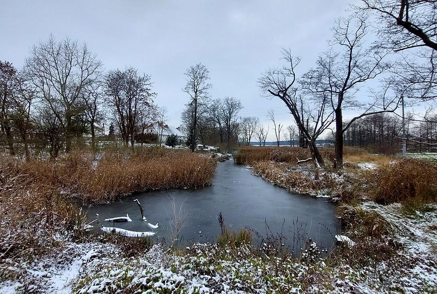 Zamarznięte bagno w Trzcielinie