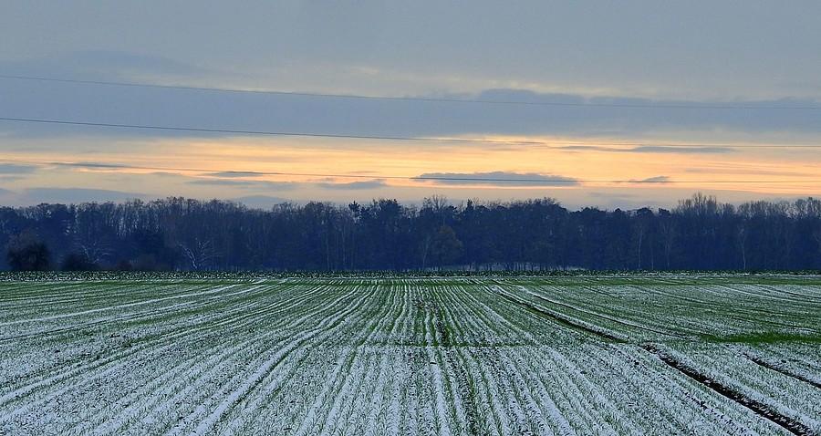 Trzcielińska zorza