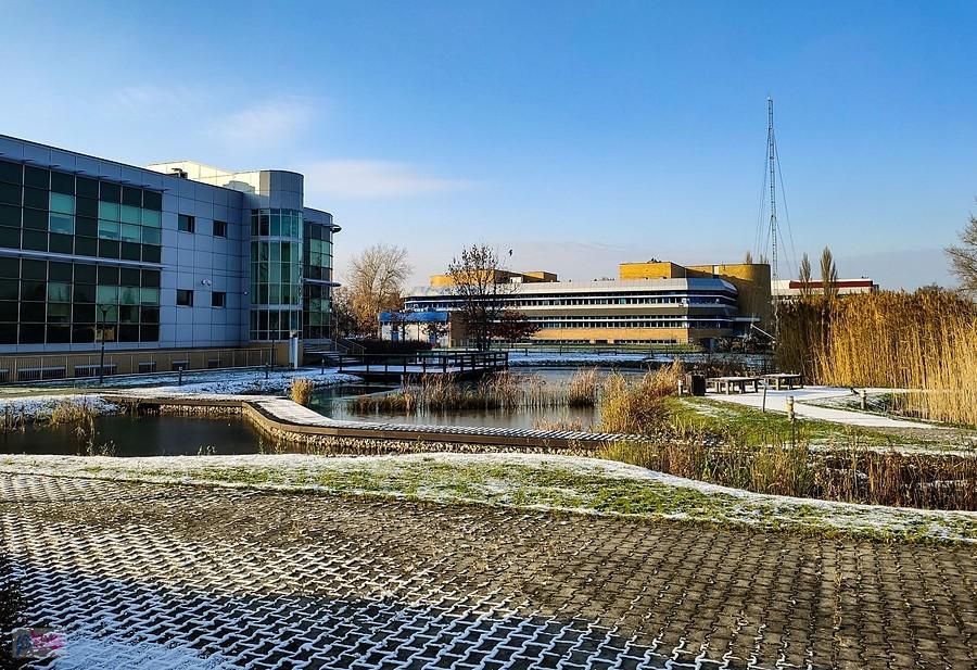 Teren przy Centrum Wodnym SGGW