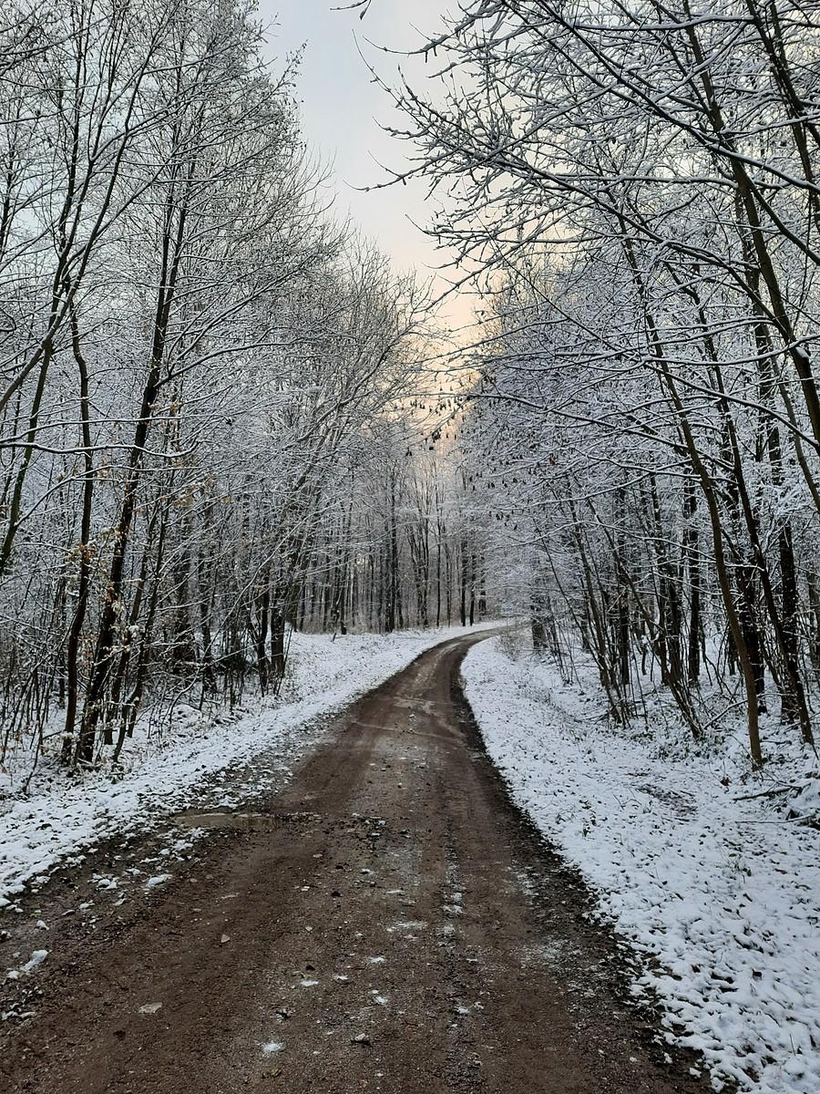 Lekka zima, Przylasek.