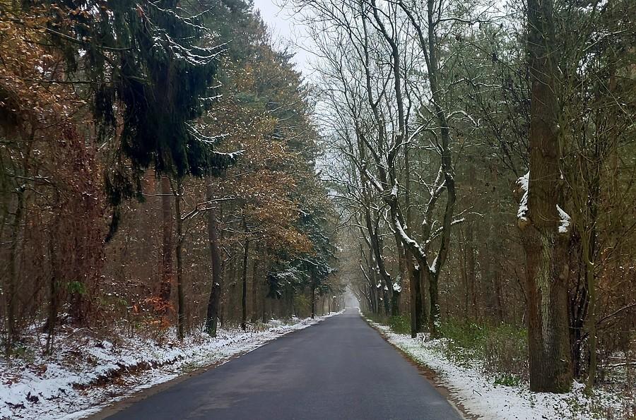 Zimowo na poznańskim Sypniewie