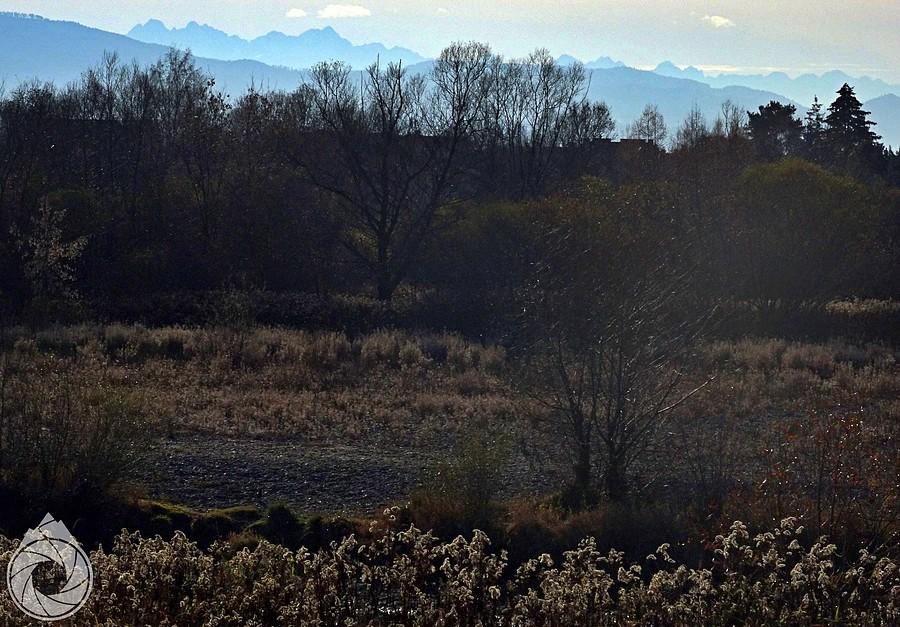 Zdziwko! Tatry widoczne ze ścieżki pod Wieloglowami